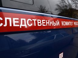 В Невьянском районе местный житель подозревается в применении насилия в отношении представителя власти