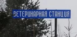 Невьянская ветеринарная станция по борьбе с болезнями животных проводит весной и осенью плановые противоэпизоотические мероприятия
