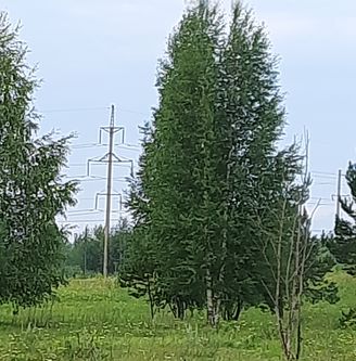 Плановое / внеплановое ограничение режима потребления электроэнергии на 26, 29 июля 2024 НТЭС